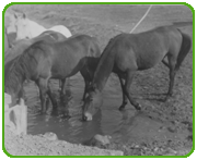 Wasser auf Bodenhöhe